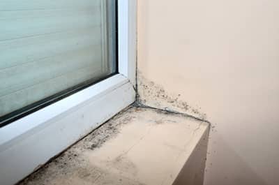 Post Remediation Mold Testing Near Me